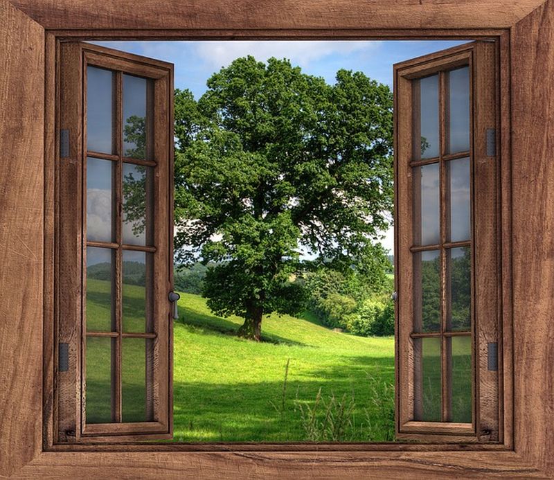 okna lesena